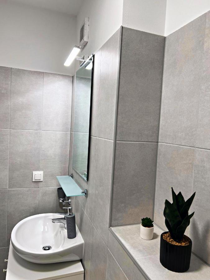 Panoramic Forest View Apartment Dumbravita  Екстериор снимка